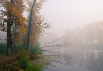 Fototapeta premium Misty autumn lake reflecting colourful forest creating peaceful, relaxing natural atmosphere