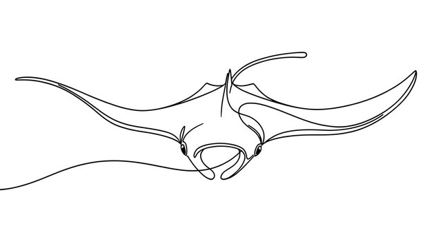 Minimalist line art manta ray white background.