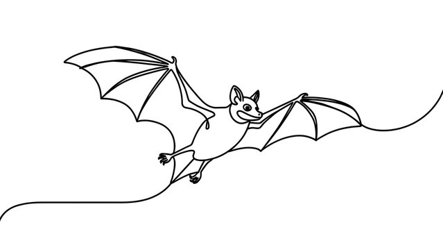 Minimalist bat line art illustration white background.