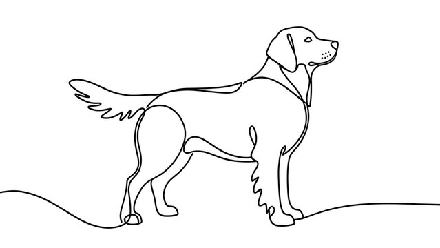 Minimalist dog line art illustration white background.