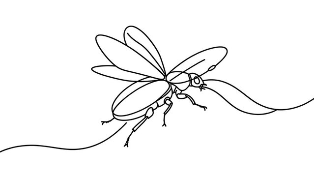 Minimalist line art fly drawing white background.