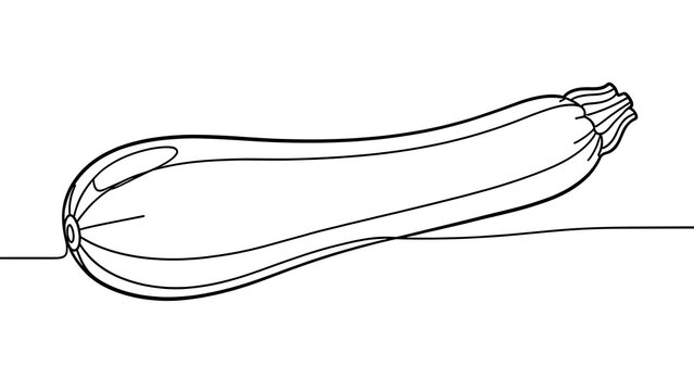 Line drawing of a zucchini on white background.
