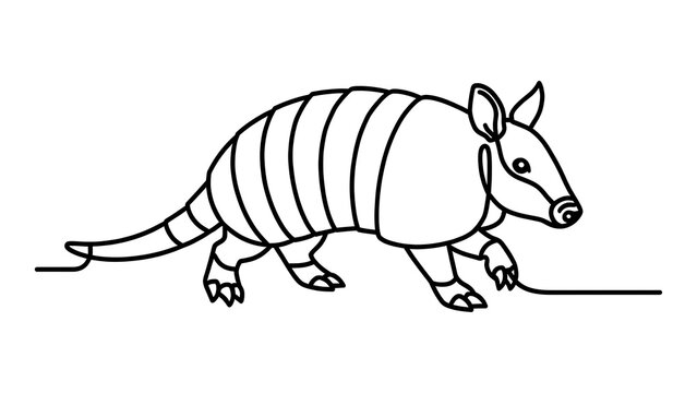 Armored armadillo illustration on white background.