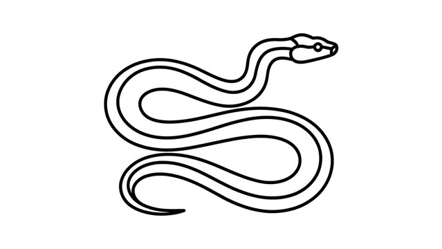 Minimalist snake illustration on white background.
