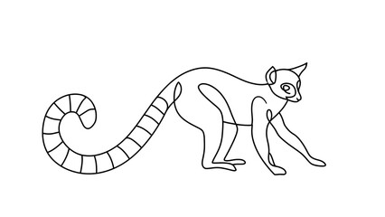 Fototapeta premium Line art lemur illustration white background.
