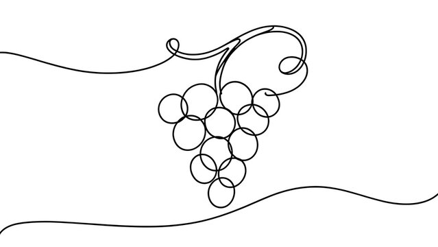 Minimalist grape cluster illustration white background.