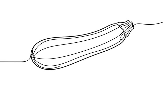 Minimalist line art zucchini white background.