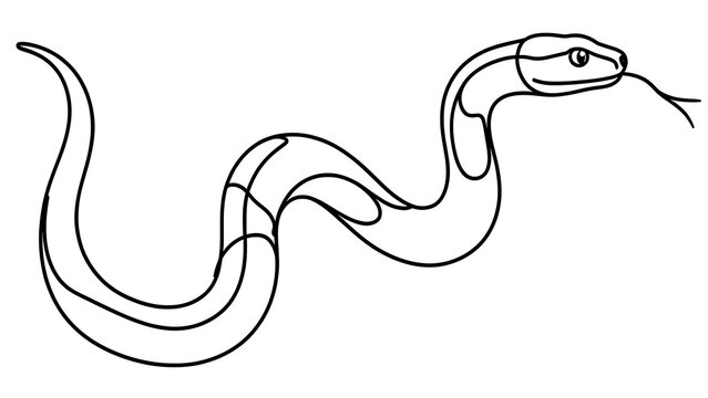 Simple snake line drawing on white background.