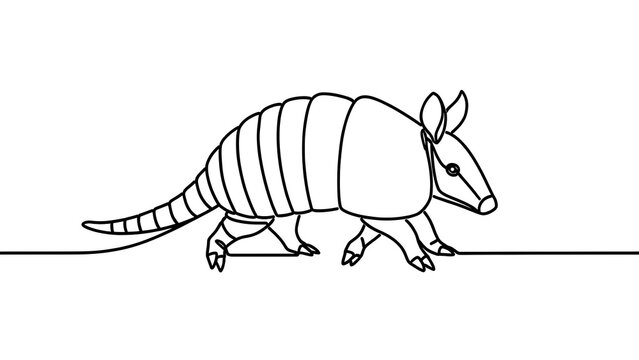 Armored armadillo walking on white background.