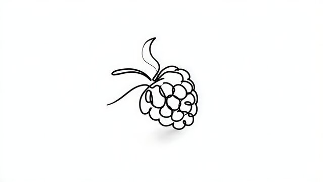 Blackberry line drawing illustration white background.
