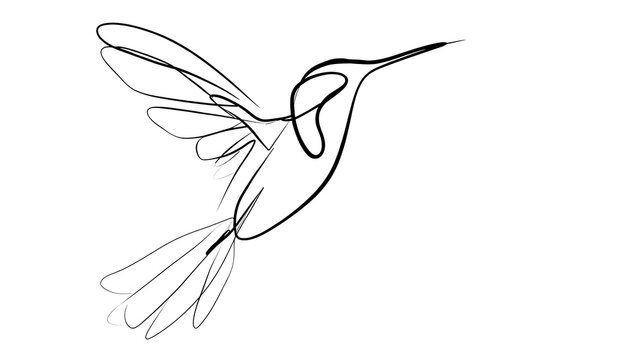 Minimalist hummingbird drawing on white background.