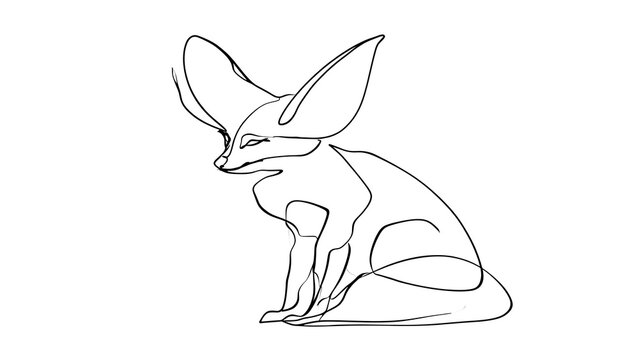 Fennec fox line drawing illustration white background.