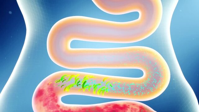 Intestinal probiotics cleanse accumulated waste and promote intestinal digestion; 3D animation rendering; blue tones.