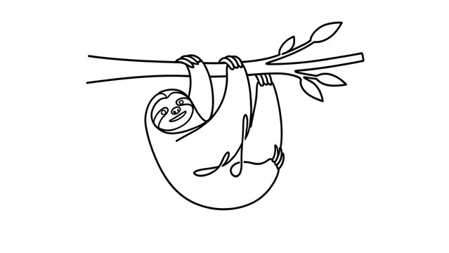 Cute sloth hanging from branch white background.