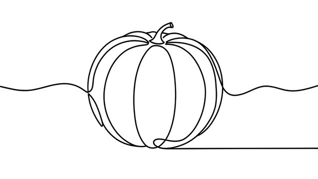 Minimalist pumpkin line art drawing white background.