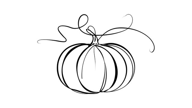 Hand drawn pumpkin illustration white background.