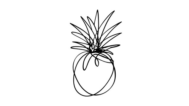 Minimalist pineapple line art drawing white background.