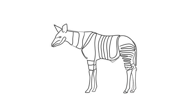 Minimalist zebra line art illustration white background.