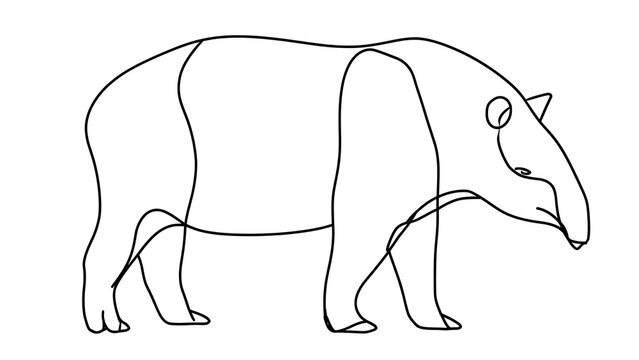 Simple line drawing of tapir on white background.