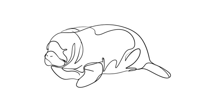 Minimalist manatee line drawing white background.