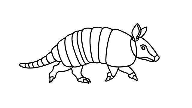 Cute armadillo line drawing white background.