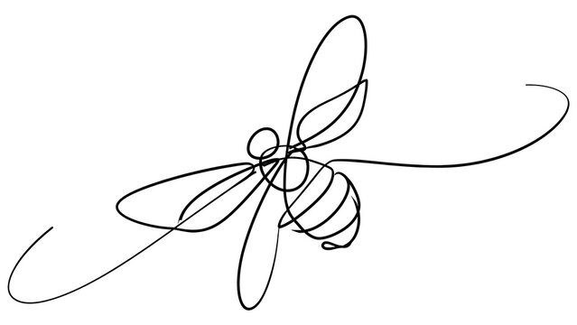 Elegant line art bee drawing white background.