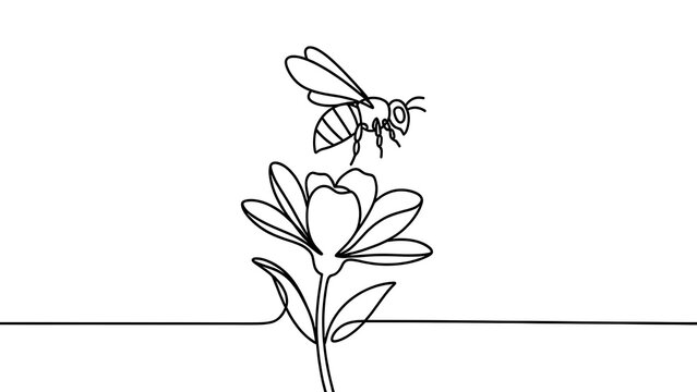 Bee and flower line art on white background.