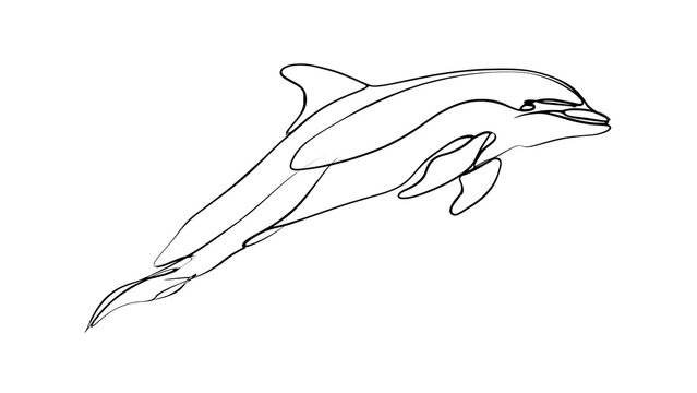 Dolphin line art illustration white background.