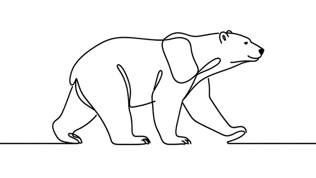 Minimalist bear illustration on white background.