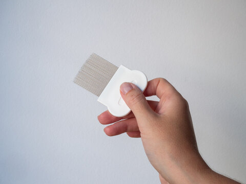 hand holding metal nit comb lice treatment white background