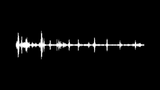 Minimalist white music wave bar digital audio frequency spectrum loop animation for podcast intros, abstract white sound wave spectrum animation on black background, audio equalizer overlay effect.4k