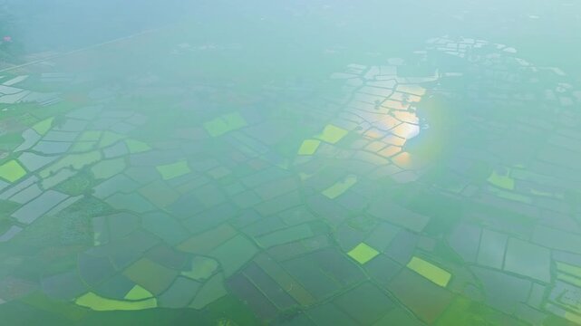 Aerial view of lush green fish ponds and flooded agricultural fields in countryside of Guilin, Guangxi, China.