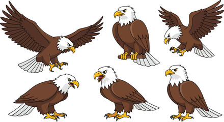 Naklejka premium A set of illustrations depicts a bald eagle in various dynamic poses.