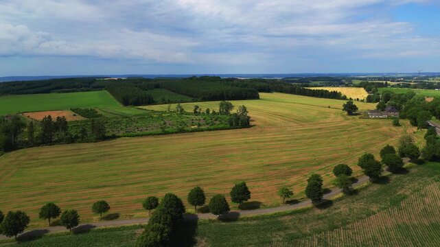 Aerial Drone Flight Ascending Over a Beautiful Rural Landscape with Green Fields, Forests, and a Tree-Lined Road