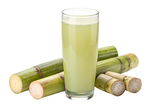 Fresh Sugarcane Juice Glass with Sugarcane Stalks Isolated on Solid White Background