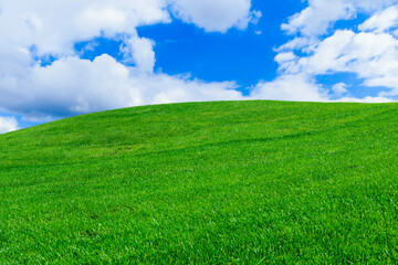 Obraz premium Green grassland under blue sky with white fluffy clouds