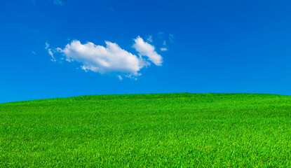 Obraz premium Green grassland under blue sky with white fluffy clouds