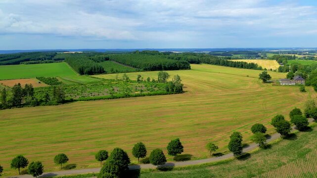 Cinematic Aerial Flight Over Idyllic Green Countryside Landscape with Farmland, Forests, and Rolling Hills on a Sunny Summer Day.