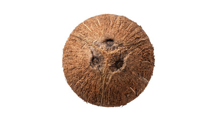 Fototapeta premium Close-up of a textured coconut shell with holes and ridges.
