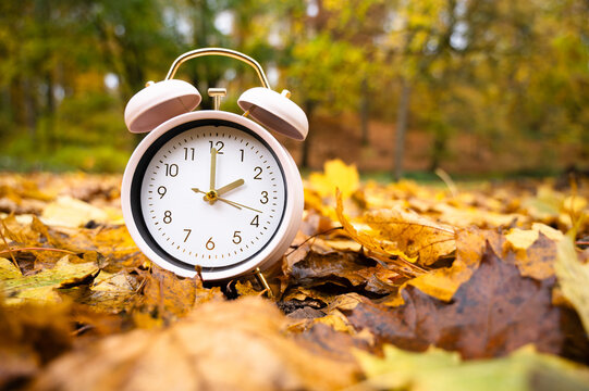 End of daylight saving time in autumn, winter time changeover, alarm clock fall back switch, colorful foliage in forest