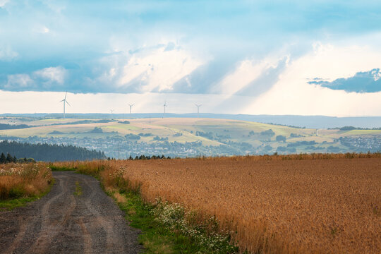 Agriculture field with barley or wheat in summer, harvest season, storm clouds, farmland on the countryside, wind turbine park in distance