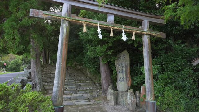 島根 神魂神社 参道の風景