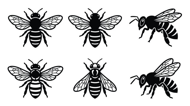 Stylized honey bee silhouettes collection featuring detailed wings and striped bodies in crisp black white graphics