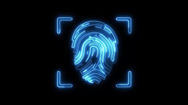Identification security check animation displays blue neon fingerprints. Security check biometric scanner outline loops inside tech frame overlays. Check animation design looks modern.