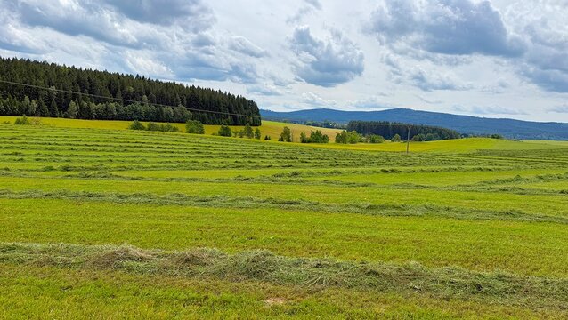 Mown alpine meadow landscape near the Vltava River and Lake Lipno in Czech Republic, Central Europe.