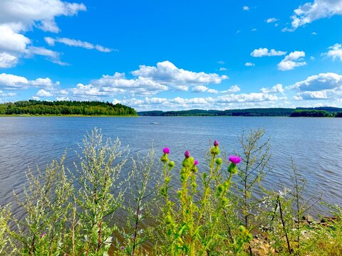 Scenic view of Lake Lipno  near Lipno nad Vltavou, Czech Republic