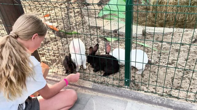 Teenage girl feeding friendly rabbits through a fence at a petting zoo. Close interaction with farm animals during a summer family visit, promoting kindness, learning and outdoor recreation.