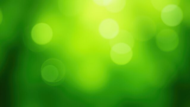 vibrant emerald and lime green bokeh lights abstract natural spring background ethereal dappled sunlight soft glow for website banner copy space