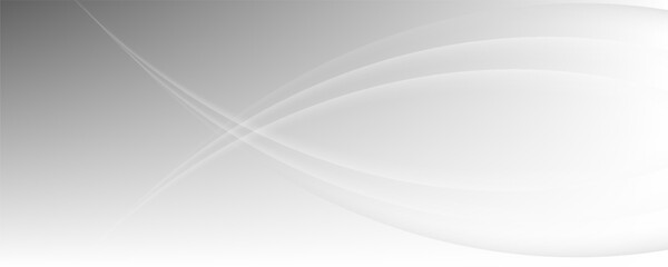 Obraz premium Abstract grey white smooth shiny waves blurred elegant background. Vector graphic design