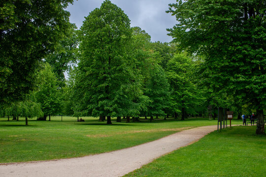 Curving gravel path through the landscaped park of Budatin Castle in Zilina, Slovakia. Mature deciduous trees, including largeleaf linden, European ash and elm, create a peaceful green recreational ar